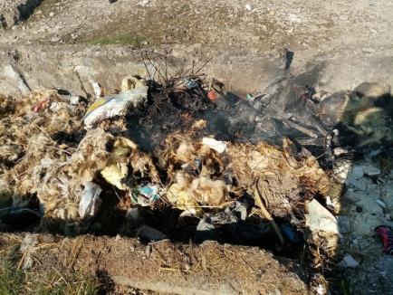 O nouă amendă de 100.000 de lei pentru o comună din Bihor, după ce angajaţii primăriei au dat foc la gunoaie. Primarul: „Nu am ce să fac cu ele” (FOTO)