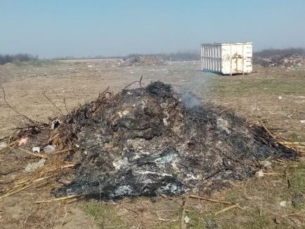 O nouă amendă de 100.000 de lei pentru o comună din Bihor, după ce angajaţii primăriei au dat foc la gunoaie. Primarul: „Nu am ce să fac cu ele” (FOTO)