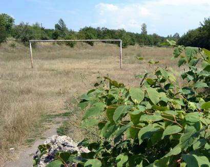 Pârloaga CFR Marfă din zona Ştefan cel Mare va fi transformată în bază sportivă