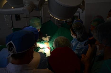 La Oradea se pun bazele unei noi specializări medicale: uro-ginecologia (FOTO)