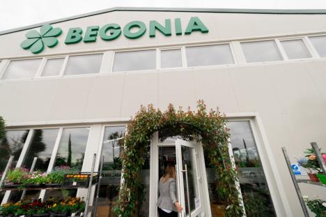 Vrei să ai gazonul perfect în curte? Begonia Garden Center a organizat lângă Oradea un workshop dedicat peluzei englezeşti (FOTO/VIDEO)