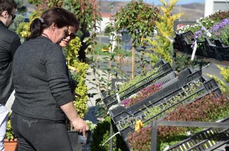 Cele mai noi tendinţe de amenajare de grădini şi terase, la Lotus Center (FOTO) 