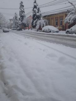 Zăpada face ravagii în Bihor: 79 de localităţi fără curent, peste 28.000 de cetăţeni afectaţi! (FOTO)