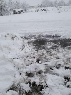 Zăpada face ravagii în Bihor: 79 de localităţi fără curent, peste 28.000 de cetăţeni afectaţi! (FOTO)
