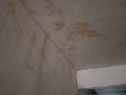 Abandonată în mucegai: O femeie din Salonta se zbate de 4 ani să demonstreze că apartamentul ei este distrus de o lucrare ilegală la acoperişul blocului (FOTO)