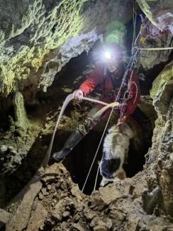 Ce-ai făcut, Bobiță? Un câine căzut într-o galerie din peștera Meziad, recuperat de speologii bihoreni (FOTO)