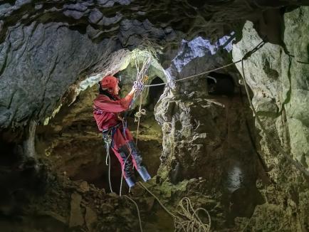 Ce-ai făcut, Bobiță? Un câine căzut într-o galerie din peștera Meziad, recuperat de speologii bihoreni (FOTO)