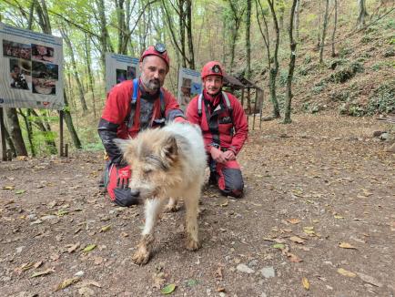 Ce-ai făcut, Bobiță? Un câine căzut într-o galerie din peștera Meziad, recuperat de speologii bihoreni (FOTO)