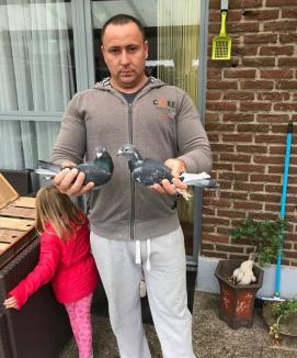 Campionatul porumbeilor voiajori: Papp Zoltan a câştigat Maratonul Naţional Frankfurt și Samuel Bochiş etapa de viteză-demifond Paprika