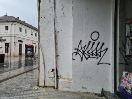 'Boierul' vandal: Poliţia e pe urmele individului care mâzgăleşte palatele din Oradea. E bănuit fiul unui cunoscut politician (FOTO)
