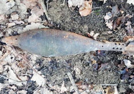Bombă în Cordău: Un localnic a găsit muniţie neexplodată din al Doilea Război Mondial (FOTO)