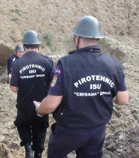 A fost găsită o bombă funcțională într-o pădure din Bihor