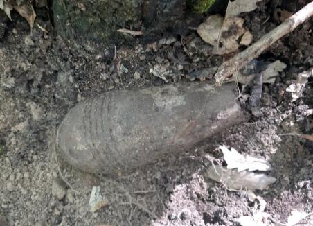 Bombă periculoasă, găsită într-o pădure din Bihor, cu ajutorul unui detector de metale