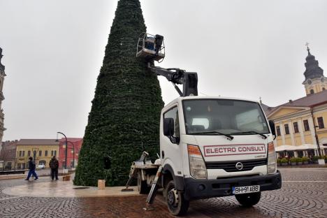 Bradul de Crăciun a fost înălţat în Piaţa Unirii din Oradea. A început şi montarea ghirlandelor luminoase (FOTO)