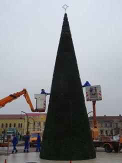 A fost montat bradul de Crăciun în Piaţa Unirii (FOTO)