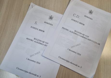 S-a stabilit ordinea pe buletinele de vot pentru Senat și Camera Deputaților, în Bihor: Candidații AUR și UDMR, pe primele poziții