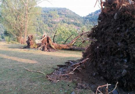Imagini din campingul devastat de furtună din Bulz: Salvatorii au prezentat bilanţul primei intervenţii de Cod Roşu din Bihor (FOTO)