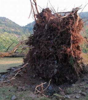 Imagini din campingul devastat de furtună din Bulz: Salvatorii au prezentat bilanţul primei intervenţii de Cod Roşu din Bihor (FOTO)
