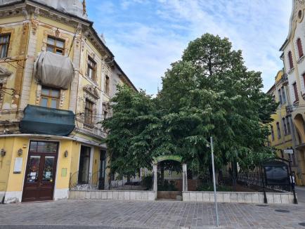 Butoiul cu... mizerii: Pe vremuri cea mai căutată grădină de vară din Oradea, terasa fostului hotel Rimanoczy strică aspectul zonei (FOTO)
