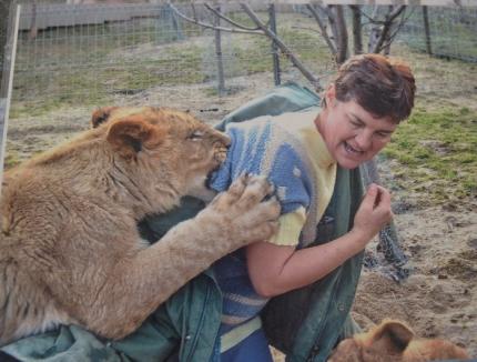 Stăpâna leilor: O orădeancă a călătorit până în Africa de Sud pentru a revedea leii pe care i-a crescut în propria curte (FOTO)