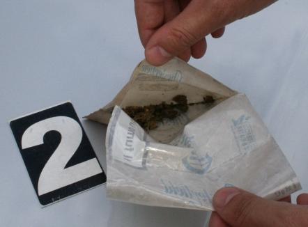 Trafic de droguri prin vama Borş: Jumătate de kilogram de cannabis, descoperit în BMW-ul unui bihorean de 26 de ani (FOTO)