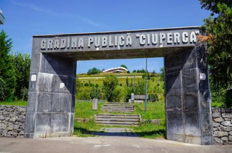 Cafeneaua cu panoramă de pe dealul Ciuperca din Oradea a fost redeschisă după aproape 8 ani. Grădina publică pare abandonată (FOTO)