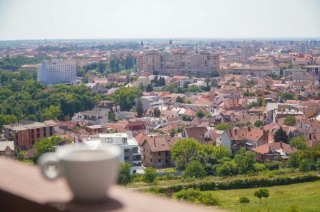 Cafeneaua cu panoramă de pe dealul Ciuperca din Oradea a fost redeschisă după aproape 8 ani. Grădina publică pare abandonată (FOTO)