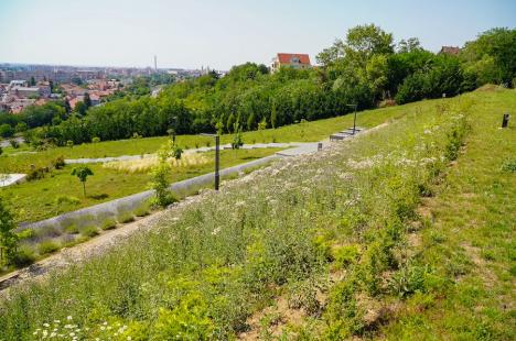 Cafeneaua cu panoramă de pe dealul Ciuperca din Oradea a fost redeschisă după aproape 8 ani. Grădina publică pare abandonată (FOTO)