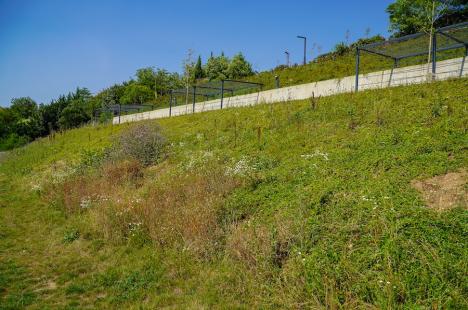 Cafeneaua cu panoramă de pe dealul Ciuperca din Oradea a fost redeschisă după aproape 8 ani. Grădina publică pare abandonată (FOTO)