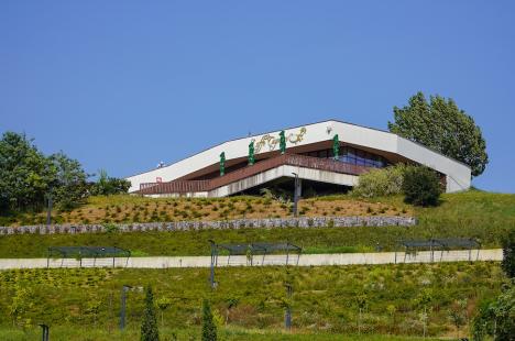 Cafeneaua cu panoramă de pe dealul Ciuperca din Oradea a fost redeschisă după aproape 8 ani. Grădina publică pare abandonată (FOTO)