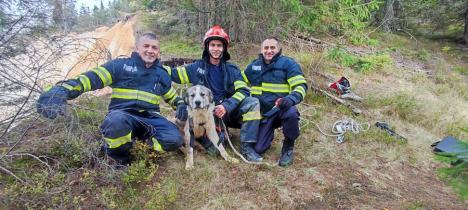 Pompierii au salvat un câine căzut în Groapa Ruginoasă. Unul dintre ei a escaladat timp de o oră cu patrupedul, pentru a-l scoate de pe versant (FOTO/VIDEO)