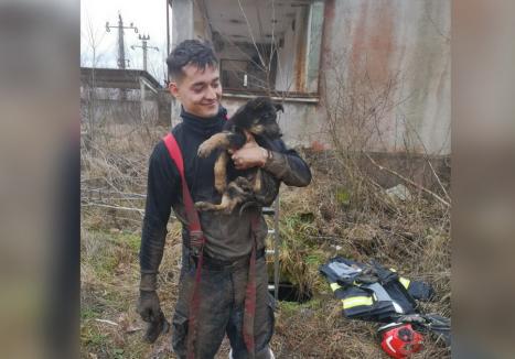 Un căţel a fost salvat de pompierii din Bihor, după ce a căzut într-un bazin din Şuncuiuş (FOTO)