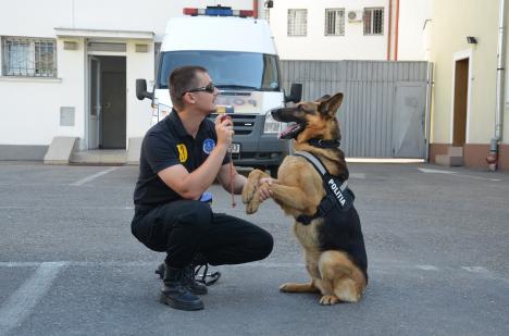 Poliţia Bihor şi-a prezentat vedeta: Gom, câinele salvator (FOTO)