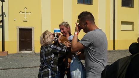 Sute de căței au „cucerit” Cetatea: Boxeri din 36 de țări au venit în premieră la Oradea la un concurs mondial de frumusețe! (FOTO / VIDEO)