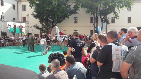 Sute de căței au „cucerit” Cetatea: Boxeri din 36 de țări au venit în premieră la Oradea la un concurs mondial de frumusețe! (FOTO / VIDEO)