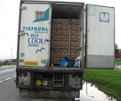 Peste 160 de tone de fructe ce urmau să ajungă la firme fantomă, confiscate în Borş (FOTO)