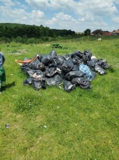 Toate primăriile din Bihor s-au înscris în Campionatul Curățeniei. Unde sunt programate acţiuni de ecologizare în zilele următoare (FOTO)