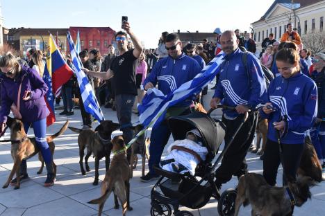 Campionatul sportivilor cu lăbuțe: Cei mai buni ciobănești belgieni din lume s-au întâlnit la Oradea (FOTO/VIDEO)