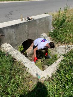 Campionatul curăţeniei: Cum au început voluntarii din Bihor munca în cadrul concursului judeţean de colectare separată a deşeurilor (FOTO)