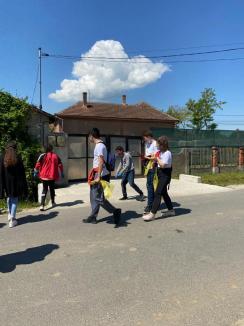 Campionatul curăţeniei: Cum au început voluntarii din Bihor munca în cadrul concursului judeţean de colectare separată a deşeurilor (FOTO)