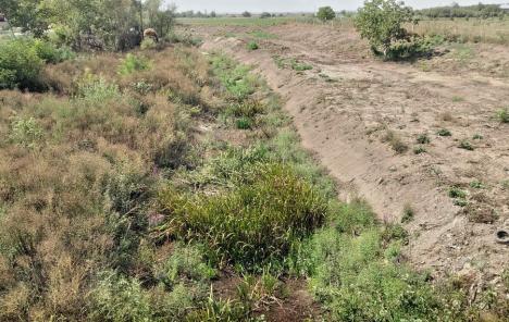De la inundații la secetă: canalele de desecare din Bihor, folosite pentru irigații. Fermierii pot primi 500.000 euro pentru a-și uda culturile