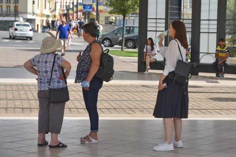 „Vremea va fi caniculară” în Crișana! Anunțul meteorologilor