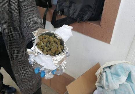 Nouă captură de cannabis la Beiuş:  Doi tineri îşi aduceau droguri din Spania, prin firme de coletărie (FOTO)
