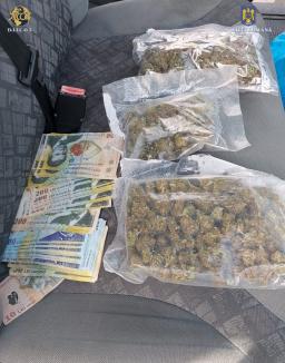 Flagrant cu droguri în Bihor: Doi bărbați au fost arestați, după ce au încercat să vândă cannabis în Sânnicolau de Munte (FOTO)