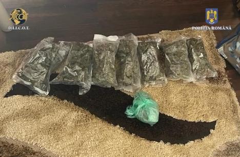 Flagrant cu droguri în Bihor: Doi bărbați au fost arestați, după ce au încercat să vândă cannabis în Sânnicolau de Munte (FOTO)