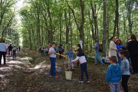 Concert în pădure: Sute de bihoreni, spectatori în pădurea care a „cântat”, în Băile 1 Mai (FOTO / VIDEO)