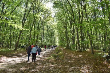 Concert în pădure: Sute de bihoreni, spectatori în pădurea care a „cântat”, în Băile 1 Mai (FOTO / VIDEO)