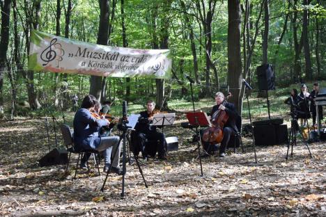 Concert în pădure: Sute de bihoreni, spectatori în pădurea care a „cântat”, în Băile 1 Mai (FOTO / VIDEO)