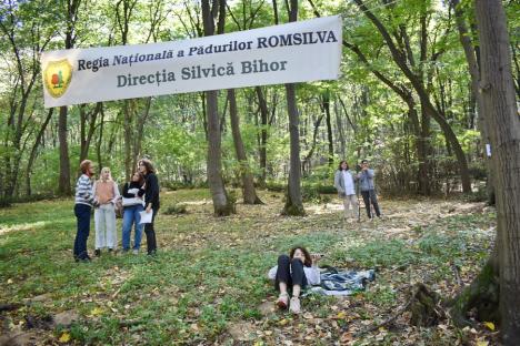 Concert în pădure: Sute de bihoreni, spectatori în pădurea care a „cântat”, în Băile 1 Mai (FOTO / VIDEO)