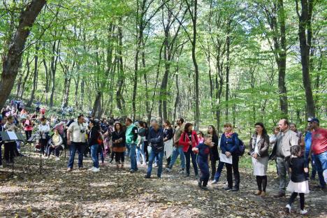 Concert în pădure: Sute de bihoreni, spectatori în pădurea care a „cântat”, în Băile 1 Mai (FOTO / VIDEO)